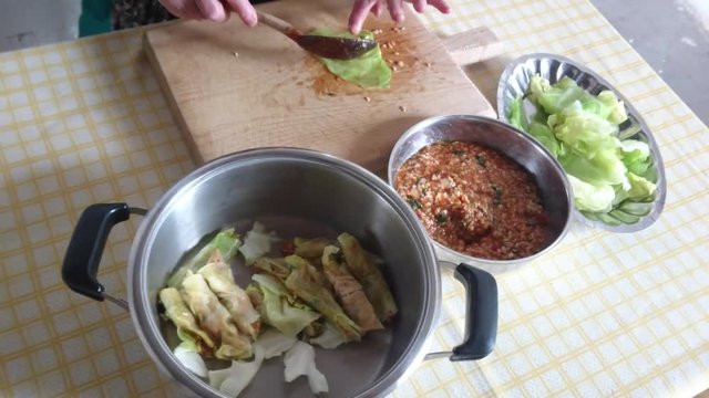 Turkish cuisine. Homemade Sarma - Rice wrapped in grape leaves