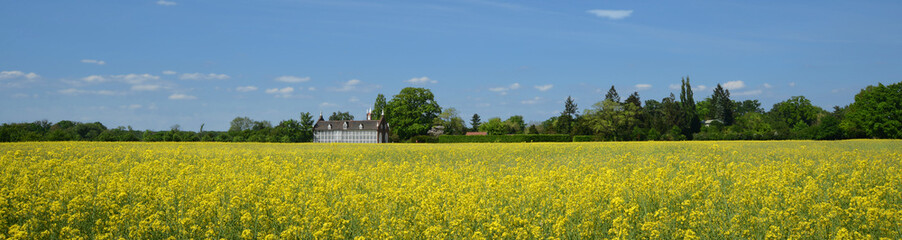 Obraz premium Landschaft 297