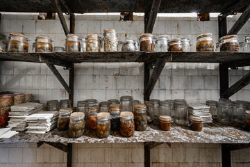 old preserve jars in an abandoned military bunker