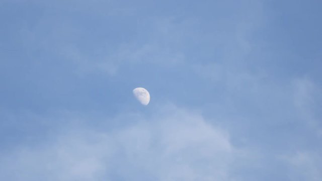 White moon with cloud moving in sunny day at real time