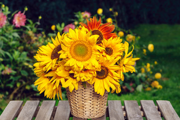 sunflowers in a pot on a wooden table