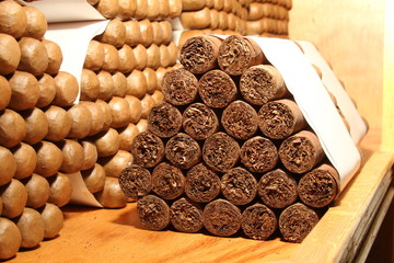 cigars bundle