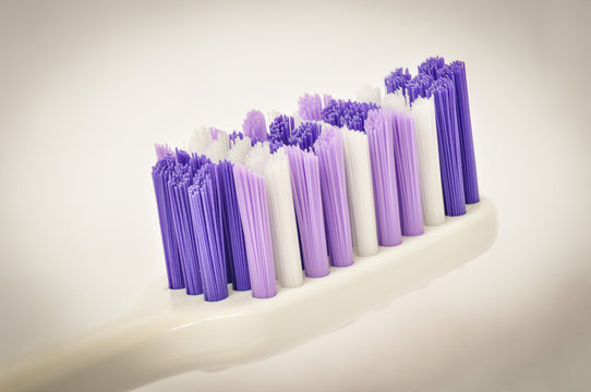 closeup of a purple toothbrush
