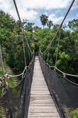 Obraz premium Hängebrücke