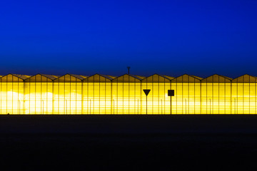 Greenhouse plant at night. Night landscape luminous glass construction. Silhouette of road signs on a background of a facade of a hothouse