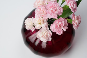 Blossom pink spray carnation flower in vase
