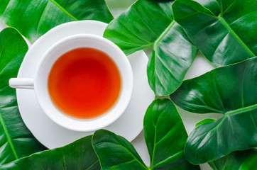 Tropical leaves with tea on white wooden background