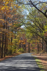 Autumn Colors on a Country Lane