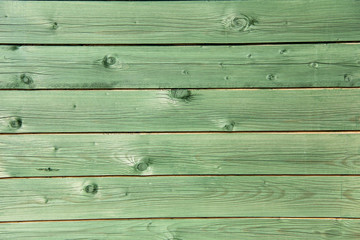 Naklejka premium old aged tree wood texture 