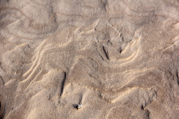 windy sea sand texture