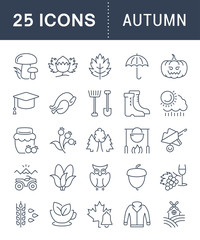 Set Vector Flat Line Icons Autumn