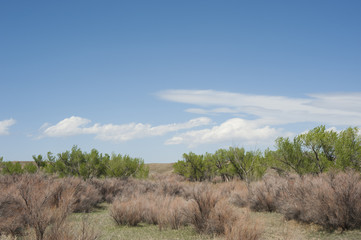 Obraz premium Field and Sky