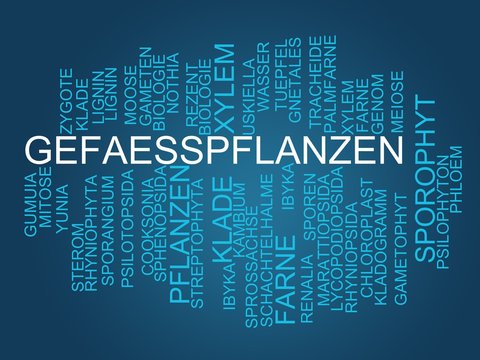 Gef&auml;&szlig;pflanzen