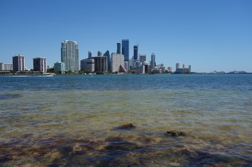 Naklejka premium The downtown Miami skyline seen from Virginia Key