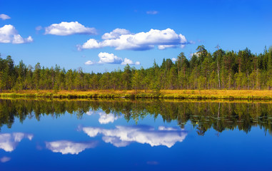 Forest And Sky Reflection
