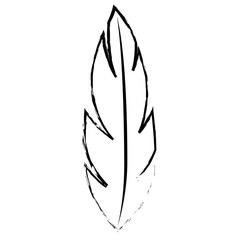 feather icon over white background. vector illustration