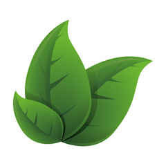 Leaves ecology symbol icon vector illustration graphic design