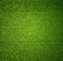 Obraz premium Grass