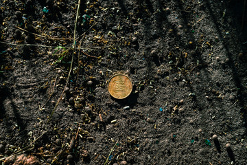 Coin of Ukrainian currency Hryvna on the soil in the summer sunset light.