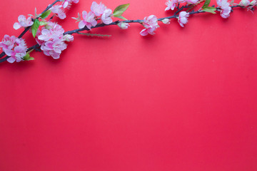 Pink plum blossom on red