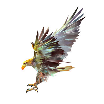 bright isolated illustration of a flying eagle