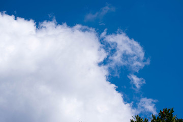 Obraz premium White fluffy clouds against a clear blue sky