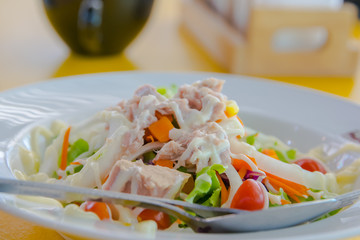 Vegetable and tuna salad in the plate