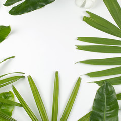 Tropical leaves and plumeria flowers on white background with copy space. Top view. flat lay.