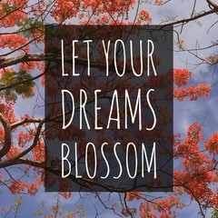 Inspirational motivational quote "Let your dreams blossom." On orange flowers background.