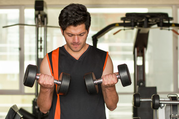 Handsome man doing biceps lifting with dumbbell on bench in a gym