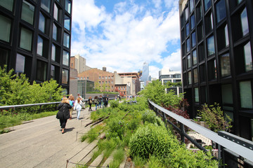 High Line Walkway / New York City - USA