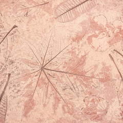 Naklejka premium marks of leaf on the concrete background