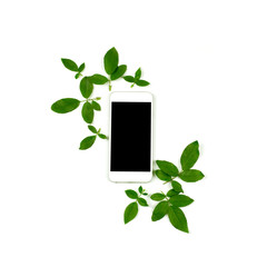 Smart phone with green rose leaves on white background.  flat lay. top view.