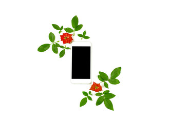 Smart phone with green rose leaves on white background.  flat lay. top view.