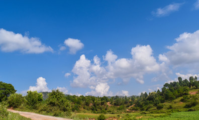 Obraz premium Farmland