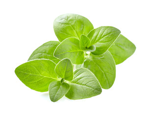 Oregano leaves