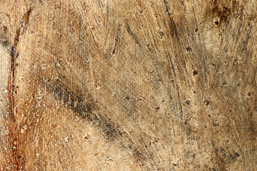 Abstract art background. Oil on canvas. Warm colors. Soft brushstrokes of paint. Modern art. Contemporary art.