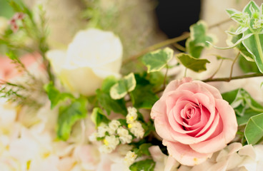 Beautiful flower background / wallpaper made with color filters effect.