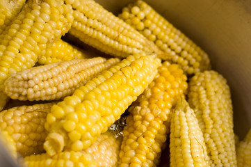 Delicious vegetables, cobs cooked on a saucepan
