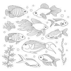 Fishes in the style of doodle.