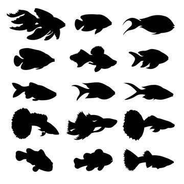 Icons of fish.