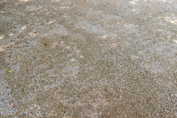ground