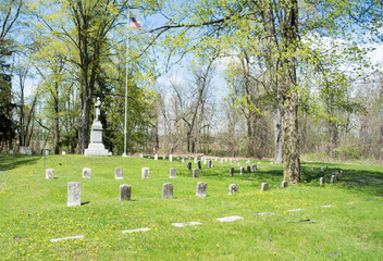 Fototapeta na wymiar veterans section of a cemetery
