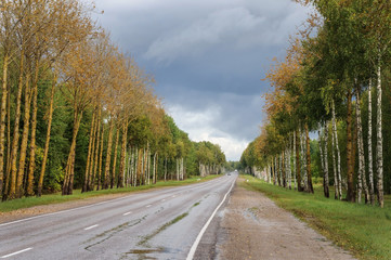 Asphalt road in the country