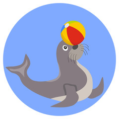 Seal plays with the ball icon