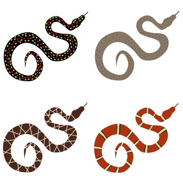 Snake, a set of poisonous snakes