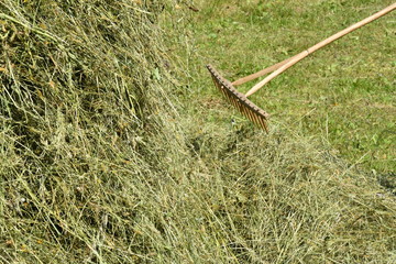 stocked hay on the meadow
