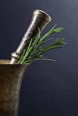 Old copper mortar with rosemary