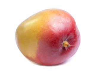 One ripe mango fruit