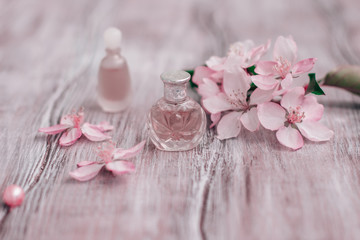 Creative layout perfume and petals of a blossoming apple tree.. Beauty concept